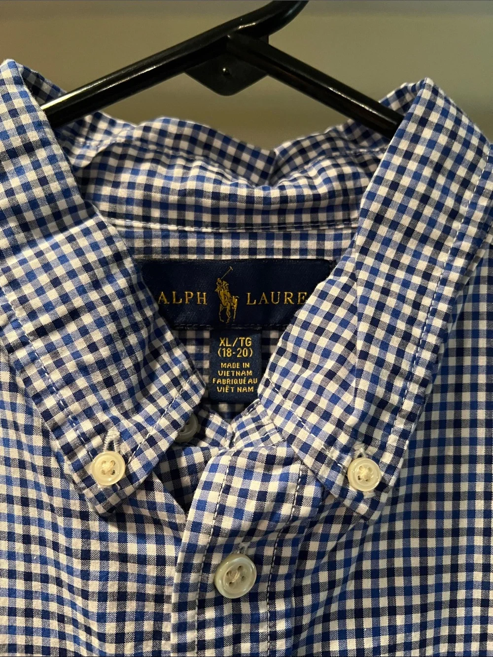 Polo by Ralph Lauren Blue and White Gingham Button-Down Shirt